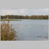 IMG_8038 copy.jpg